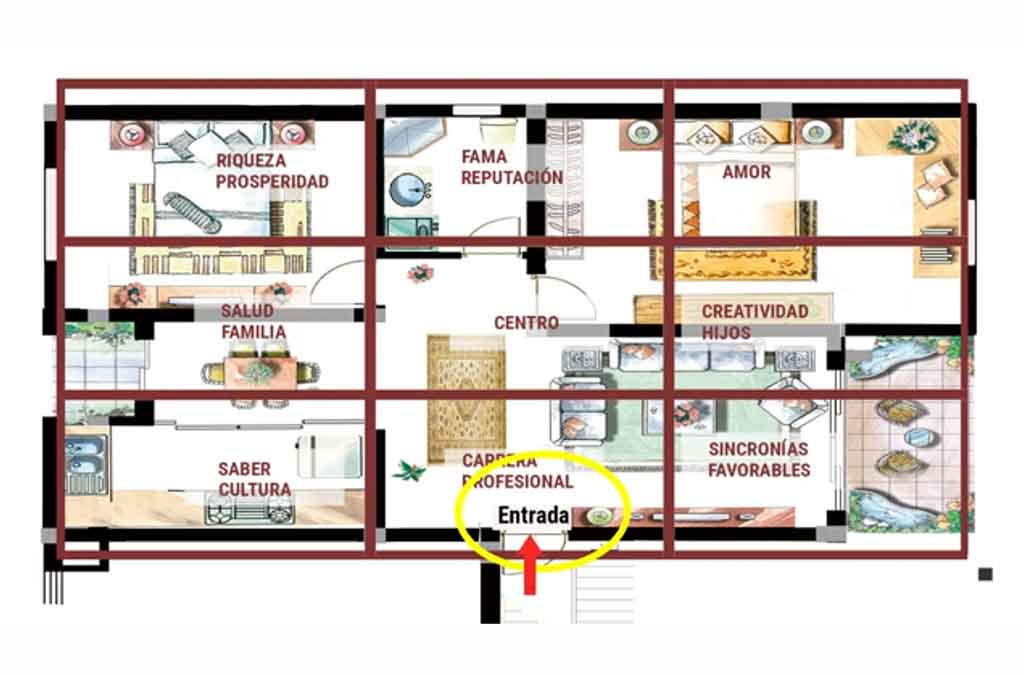 área bagua vocación profesional