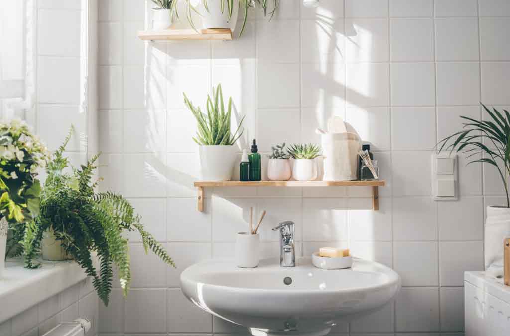 decoracion para baños con plantas